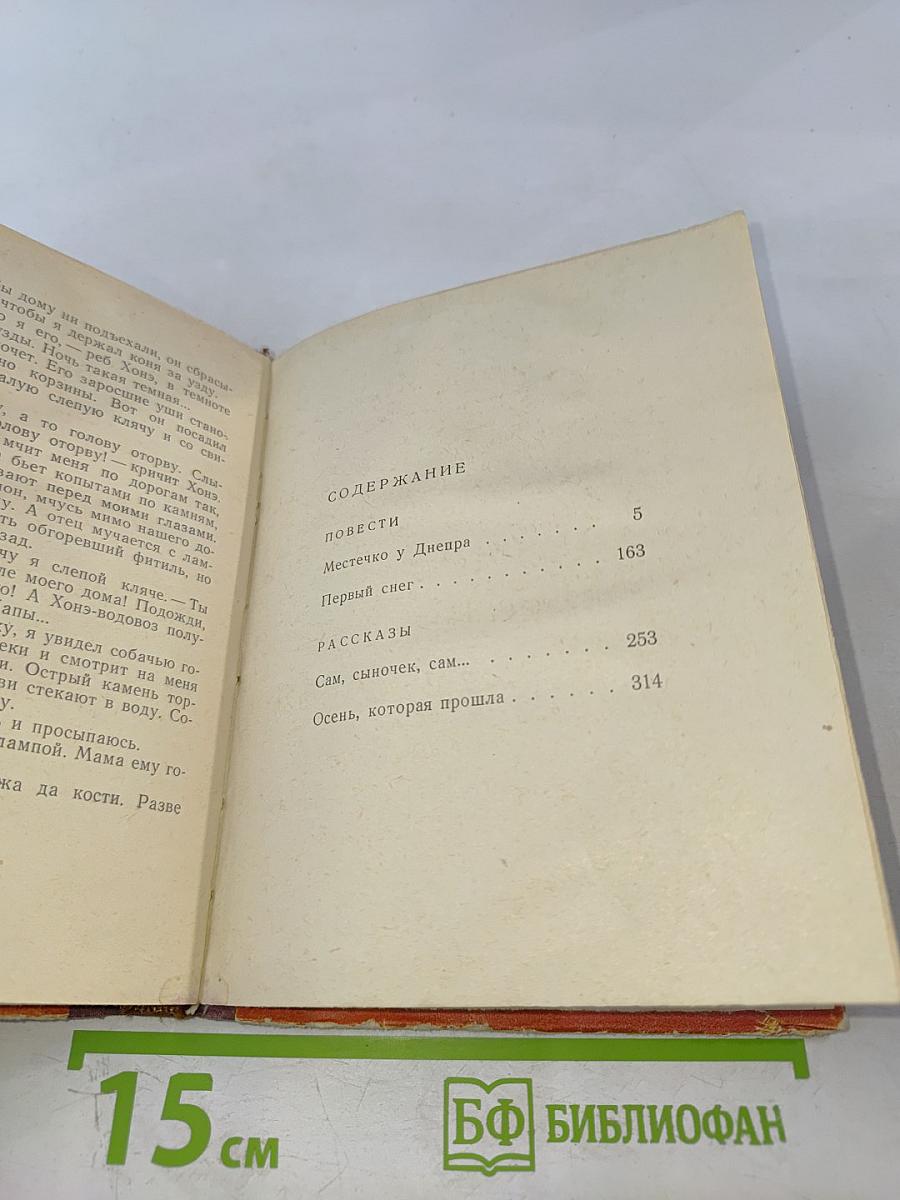 Местечко у Днепра. Повести и рассказы