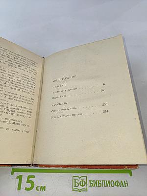 Местечко у Днепра. Повести и рассказы