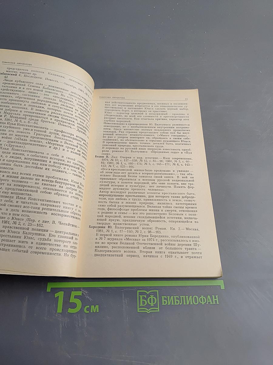 Литература и искусство 1981