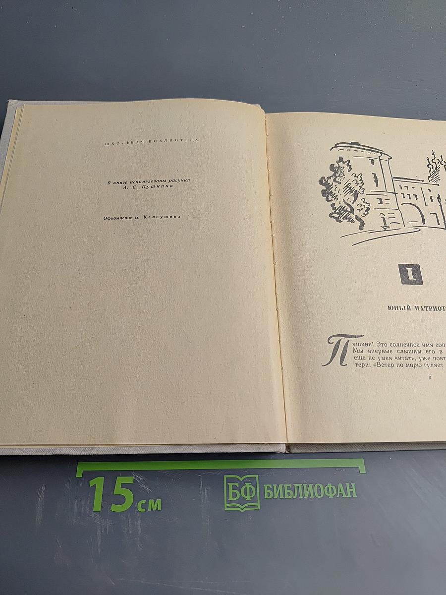 Читая Пушкина