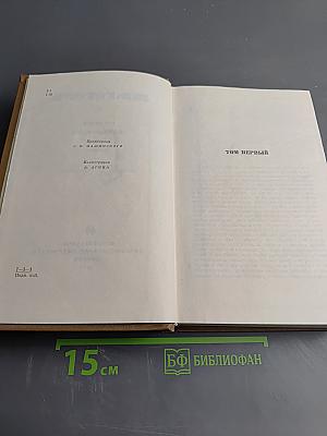 Мертвые души. Том пятый