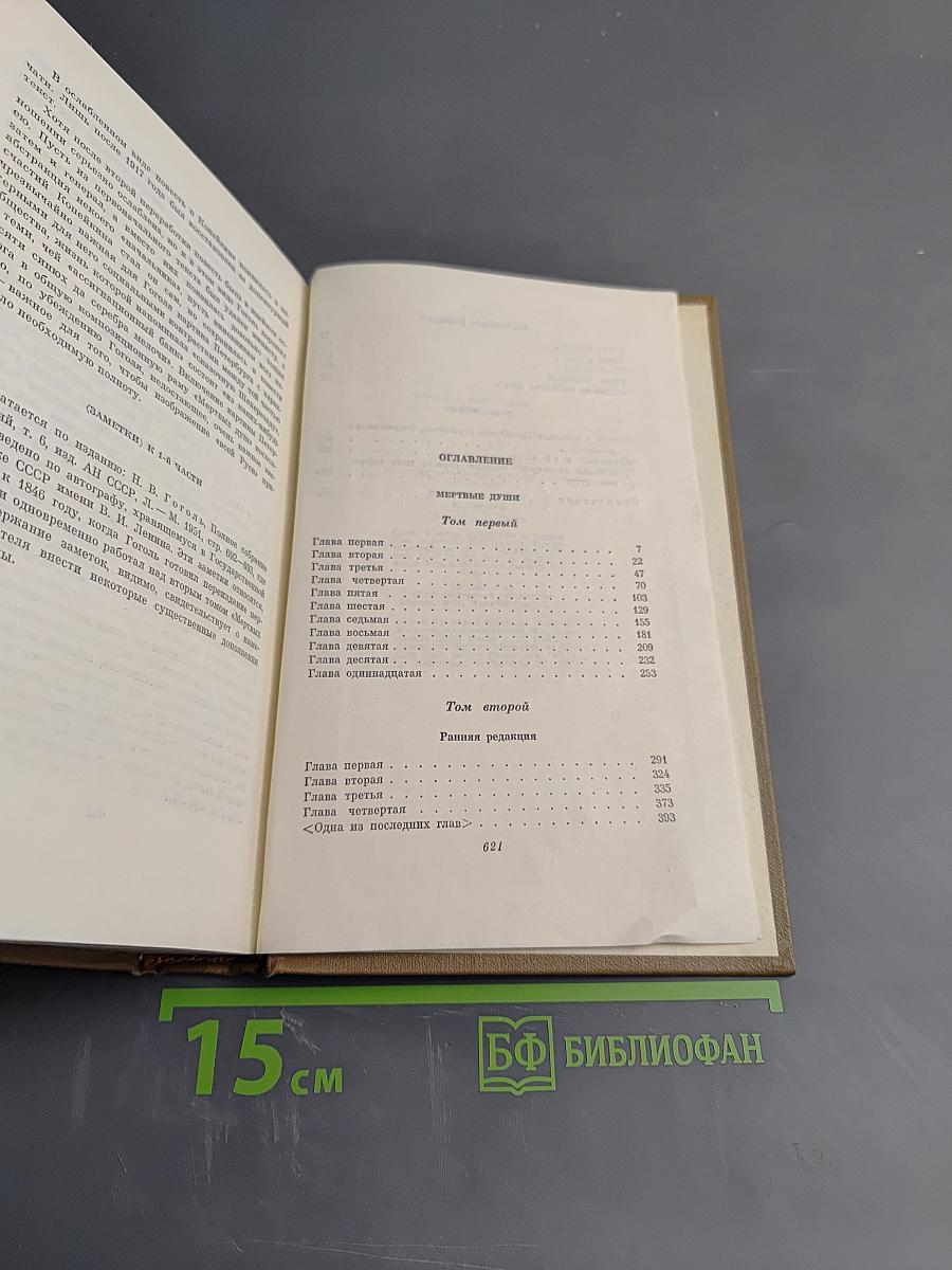 Мертвые души. Том пятый