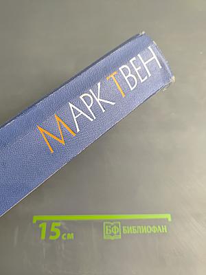 Собрание сочинений. Том девятый: По экватору. Таинственный незнакомец