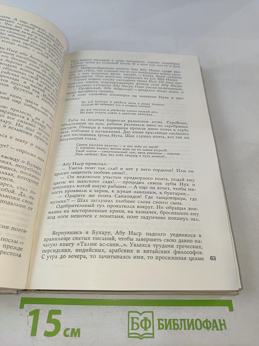 Степное эхо