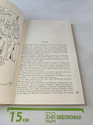 Степное эхо