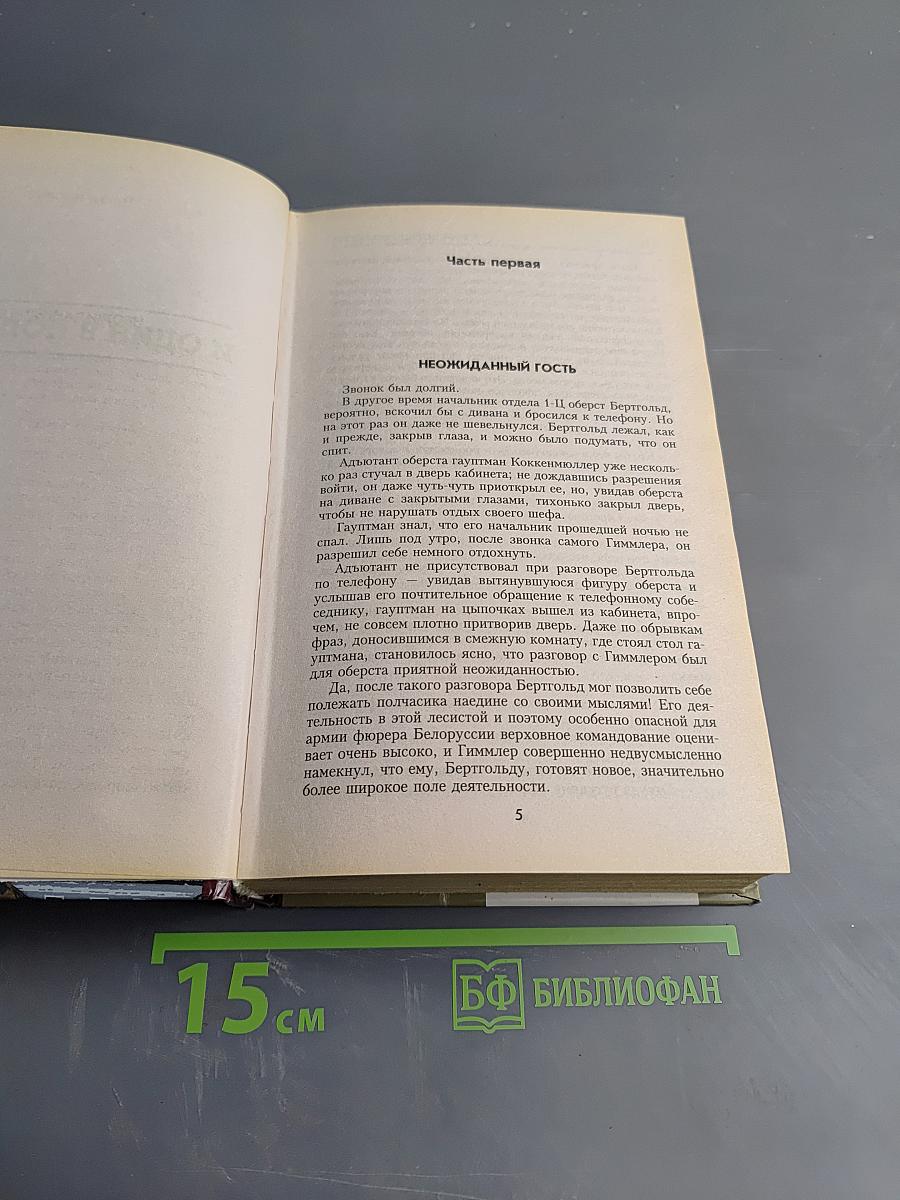 И один в поле воин