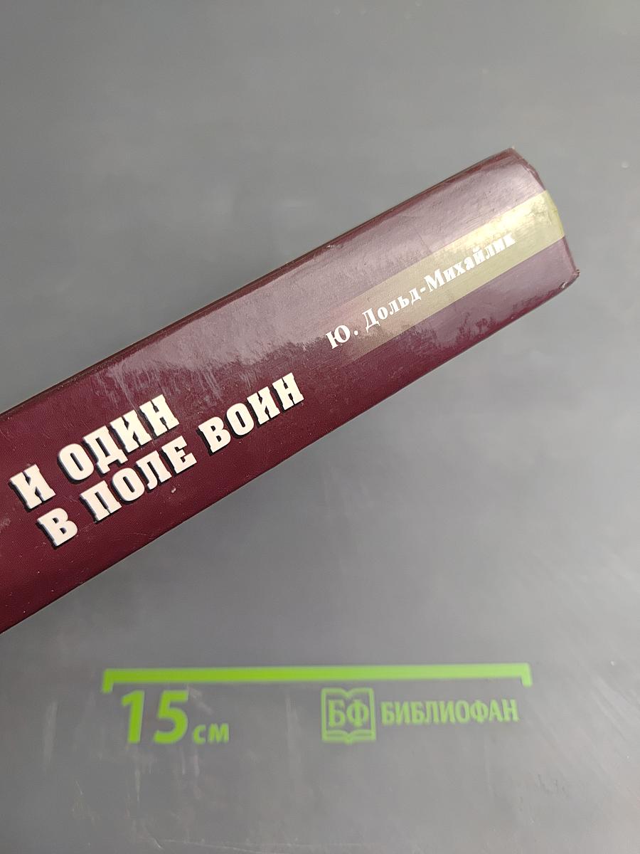 И один в поле воин