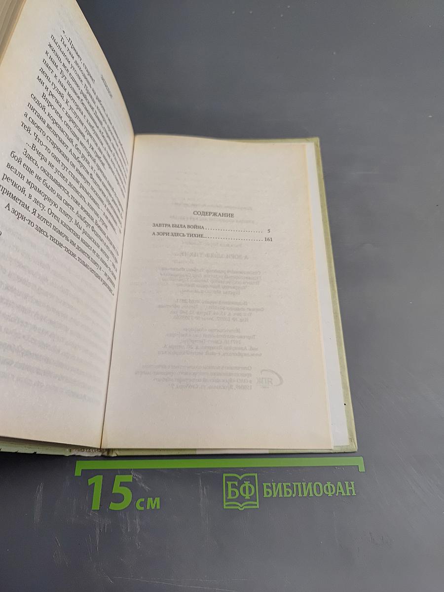 А зори здесь тихие...