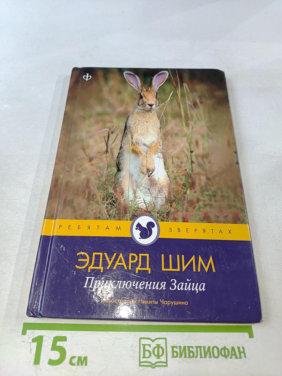 Приключения Зайца