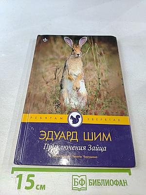 Приключения Зайца