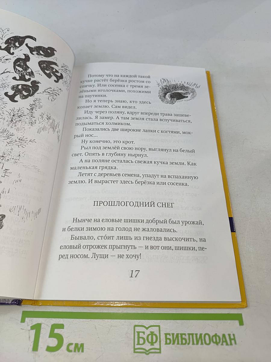 Приключения Зайца