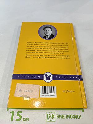 Приключения Зайца