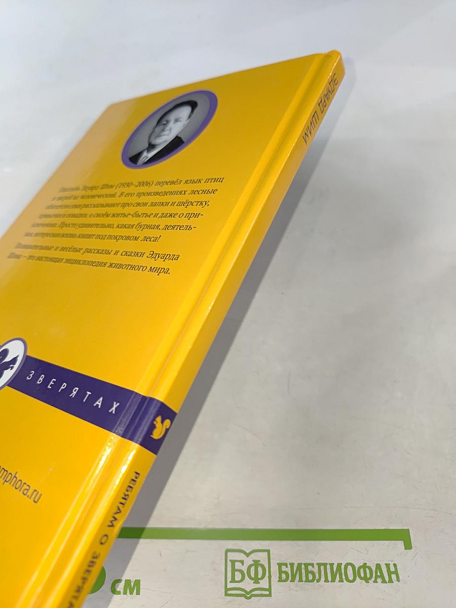 Приключения Зайца