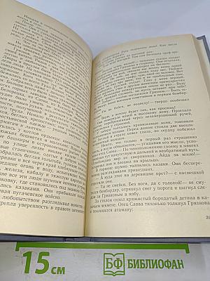 Каменный пояс. Книга вторая. Наследники