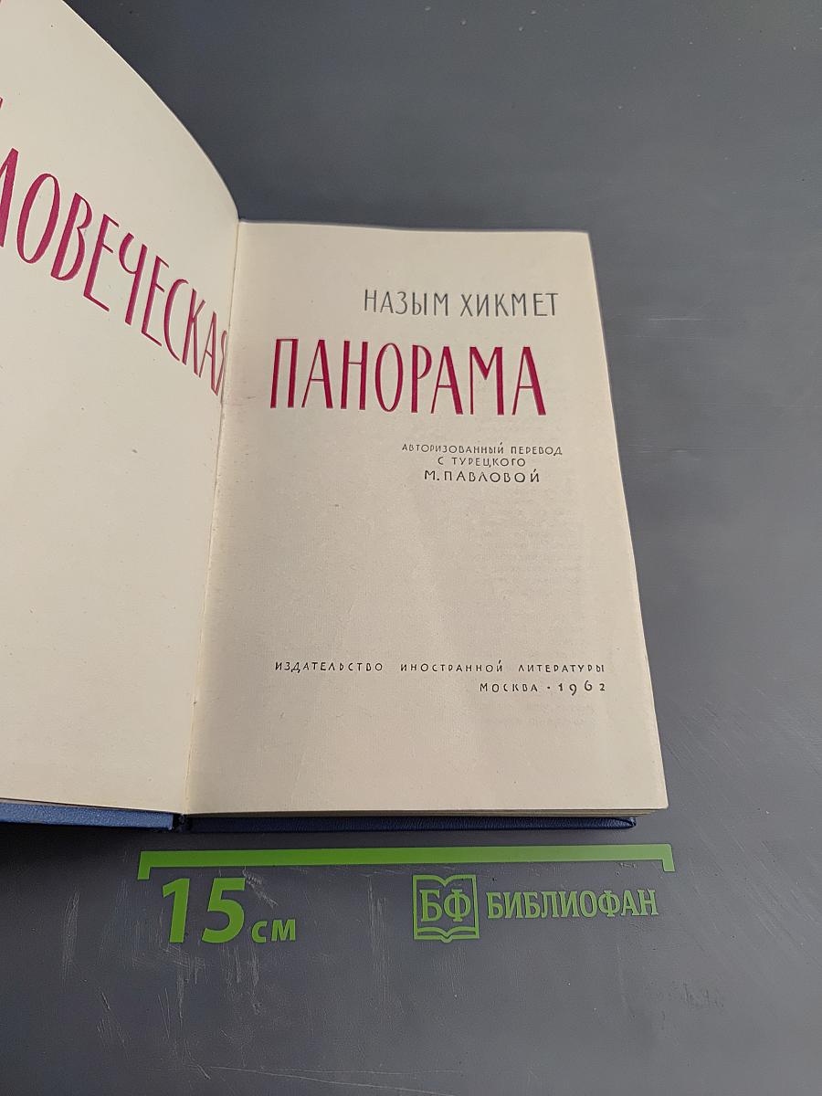 Человеческая панорама