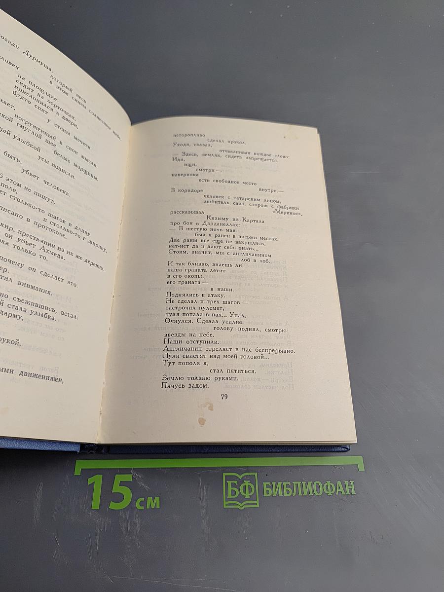 Человеческая панорама