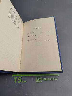 Человеческая панорама