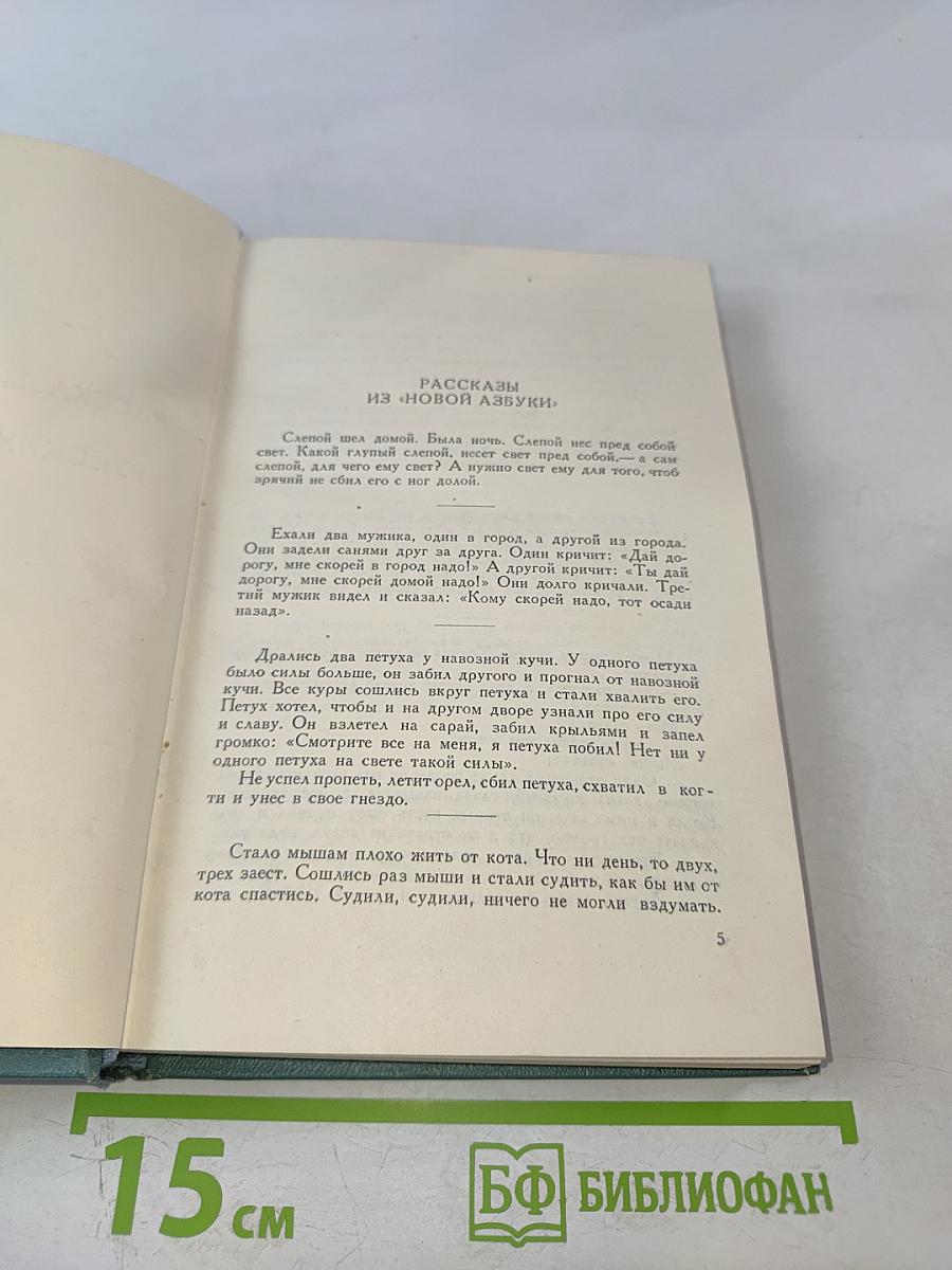 Собрание сочинений в четырнадцати томах. Том десятый: Повести и рассказы (1872-1886)