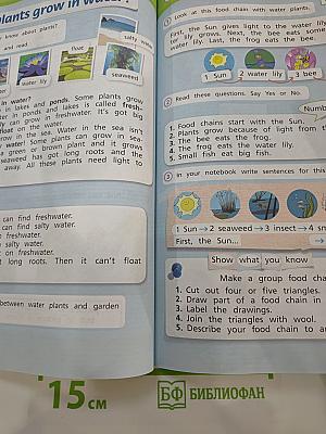 Английский язык. 4 класс. Часть 1. Team Up! Student's Book 4. Вместе