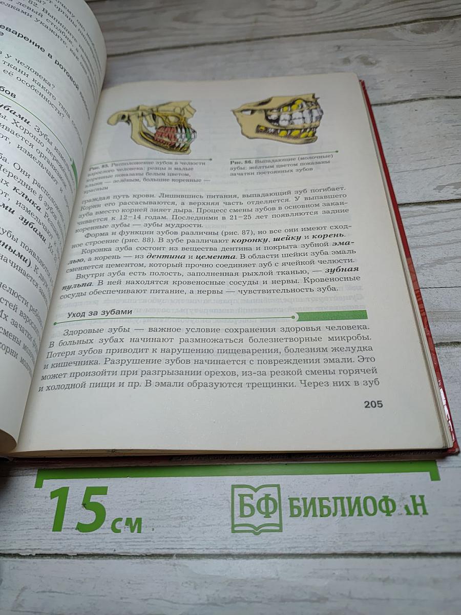 Биология 9 класс