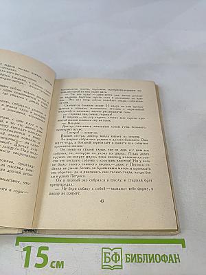 Неоседланные лошади