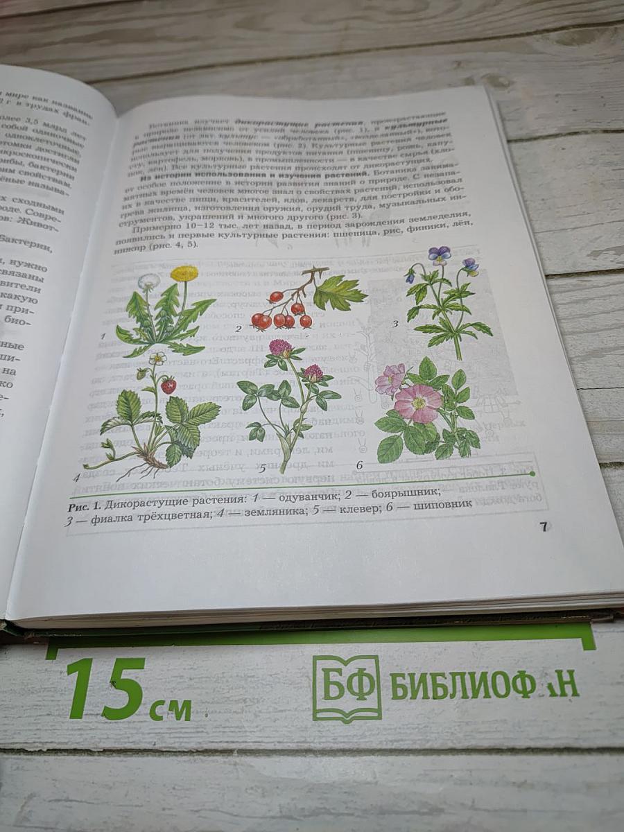 Биология 7 класс