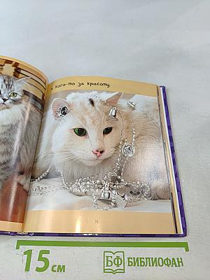 Будь счастлив в год Кота!