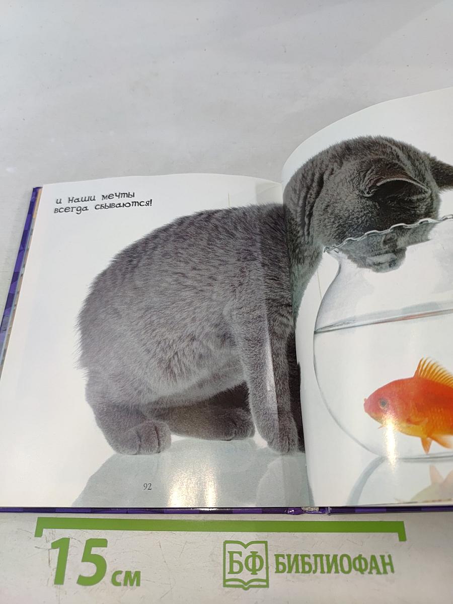 Будь счастлив в год Кота!