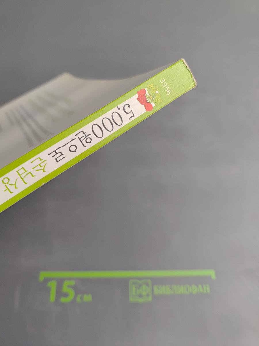 5,000원 손님상차리기 (Кэндиэ Альконъдальконъ)