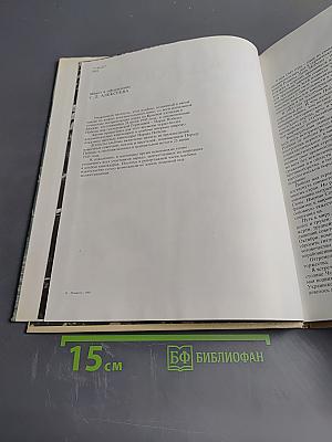 Парад Победы