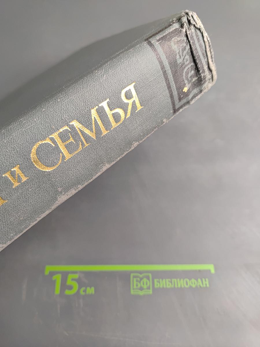Дом и семья. Краткая энциклопедия
