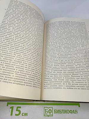 Полное собрание сочинений: Том четвертый. Записки из Мертвого дома