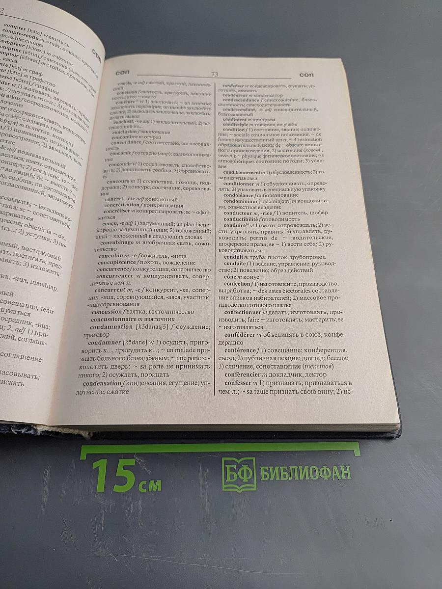 Большой французско-русский и русско-французский словарь