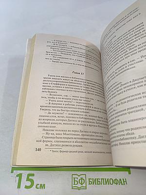 Рыцарь в сверкающих доспехах