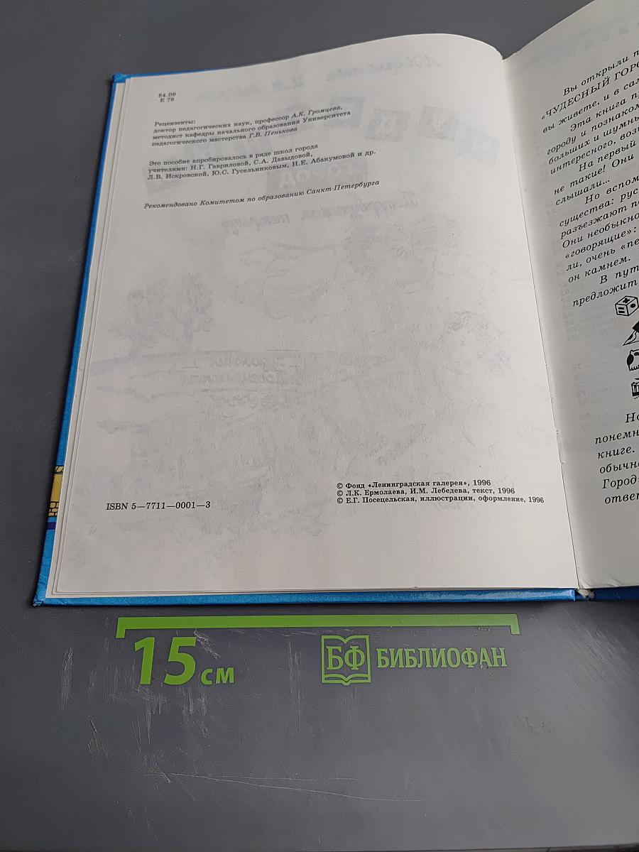 Чудесный город. Петербургская тетрадь