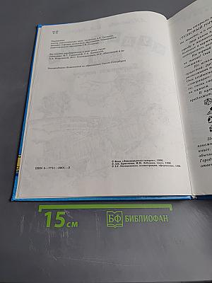 Чудесный город. Петербургская тетрадь