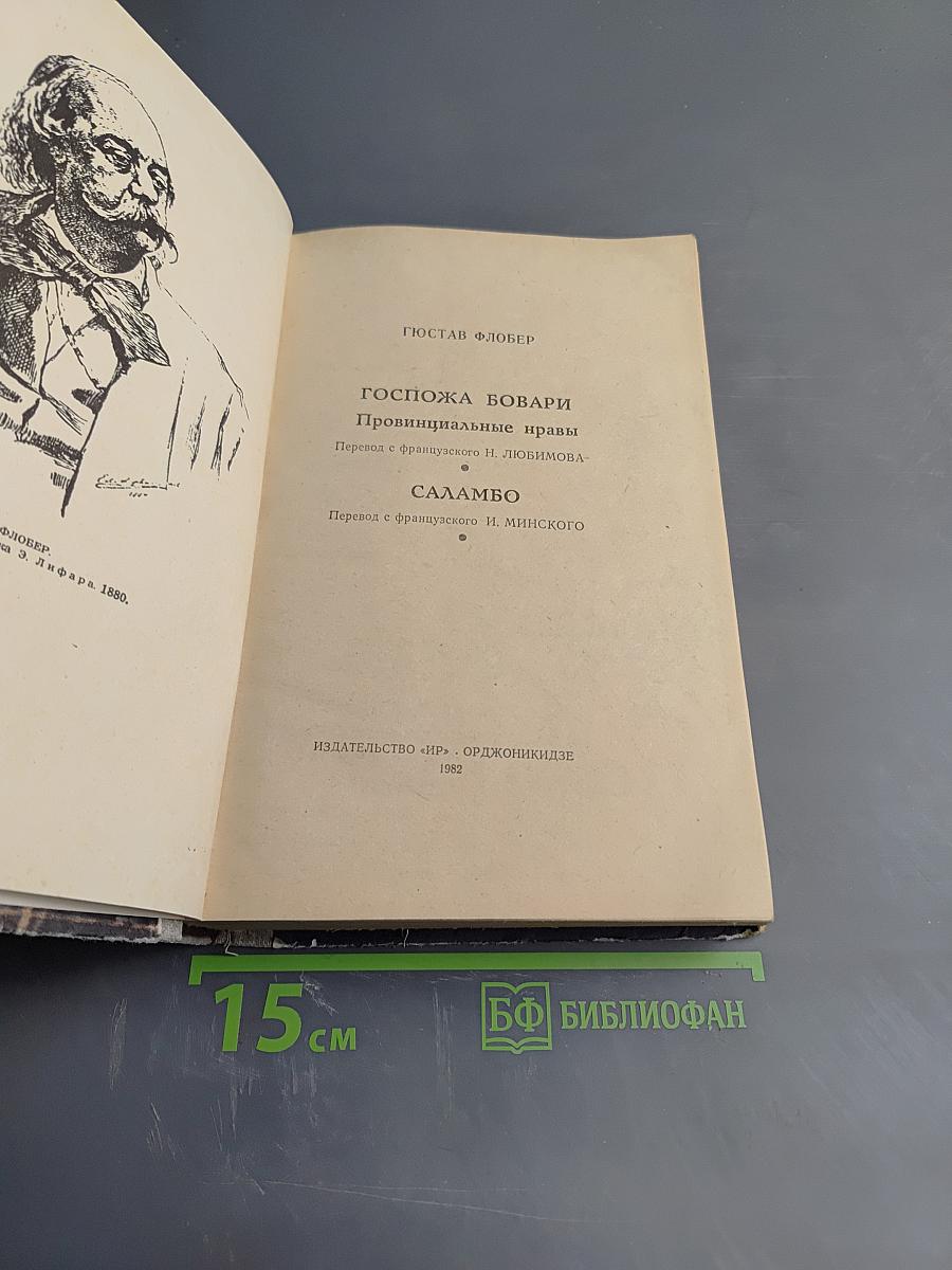 Госпожа Бовари. Саламбо