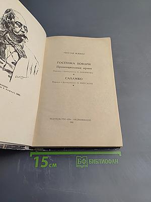 Госпожа Бовари. Саламбо