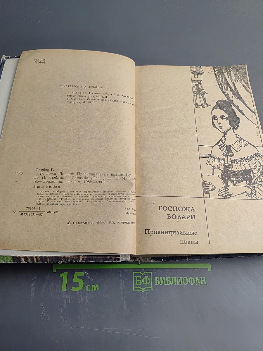 Госпожа Бовари. Саламбо