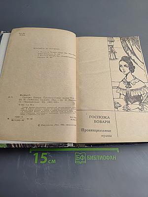 Госпожа Бовари. Саламбо