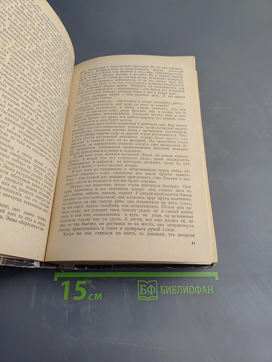 Госпожа Бовари. Саламбо