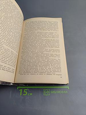 Госпожа Бовари. Саламбо