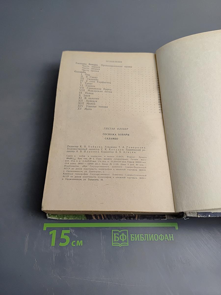 Госпожа Бовари. Саламбо