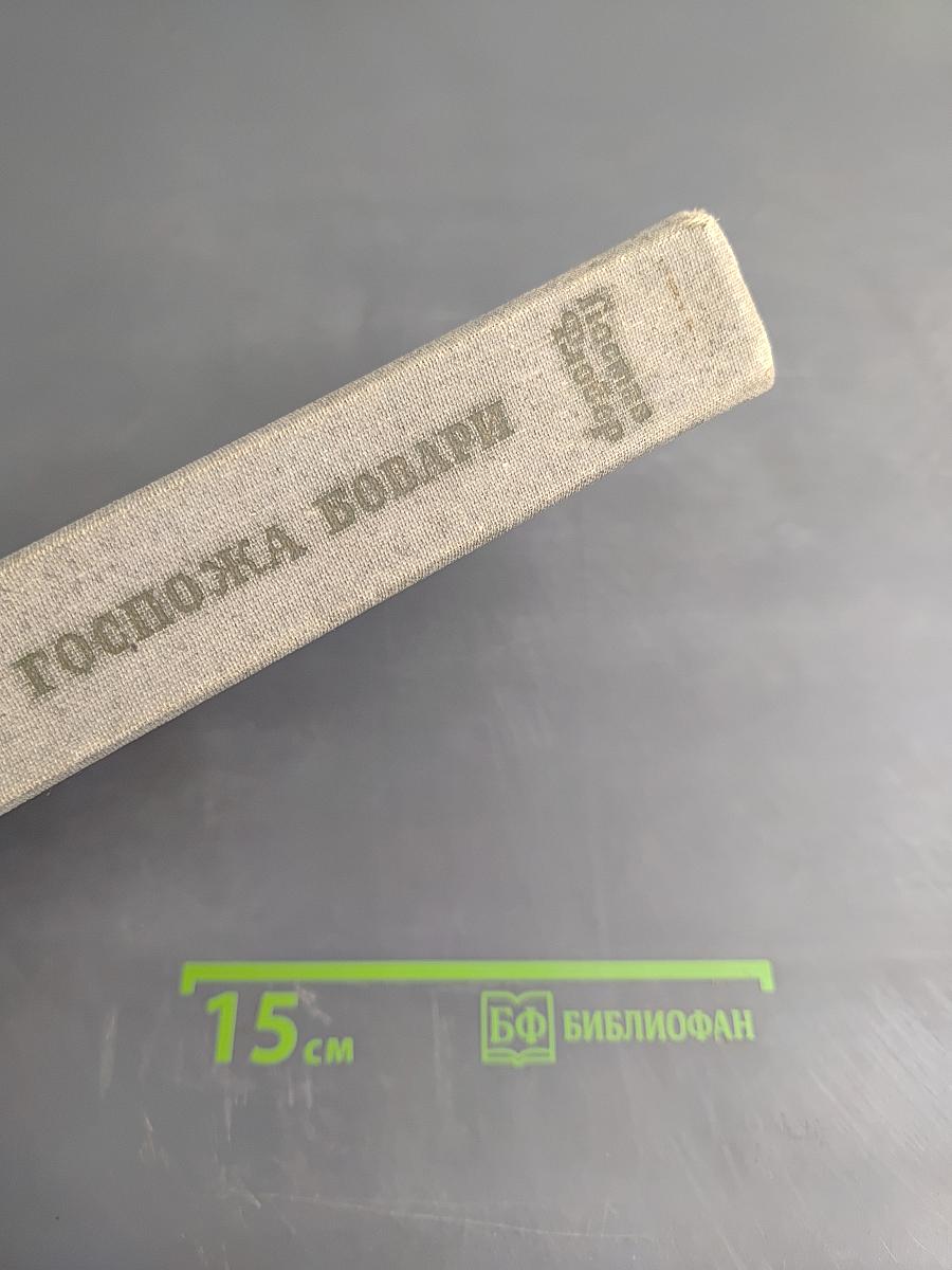 Госпожа Бовари. Саламбо