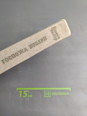 Госпожа Бовари. Саламбо