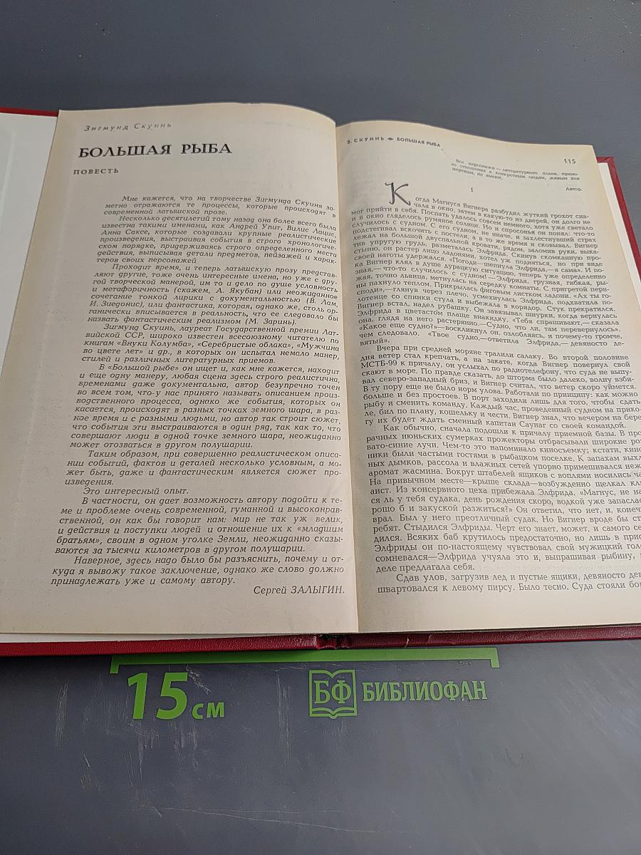 Большая рыба. Сталинградские рассказы