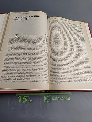 Большая рыба. Сталинградские рассказы