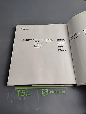 Противоречивая Америка