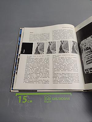 Противоречивая Америка