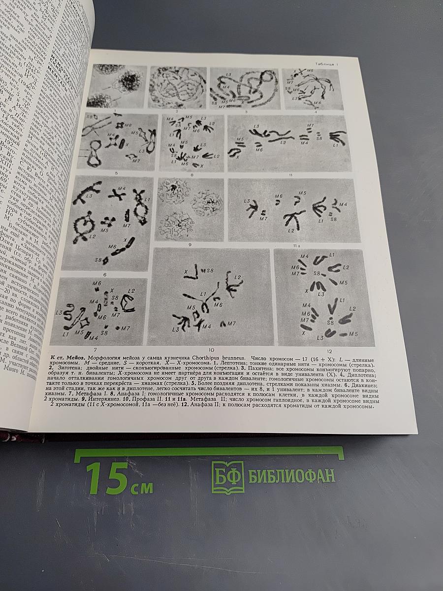 Большая Советская Энциклопедия, Том 16 (МЕЗИЯ—МОРШАНСК)